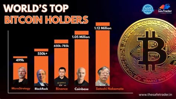 Who are the top Bitcoin holders?