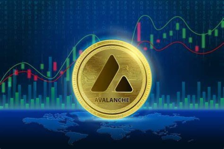 Who is Avalanche crypto?