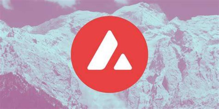 Who is behind Avalanche crypto?