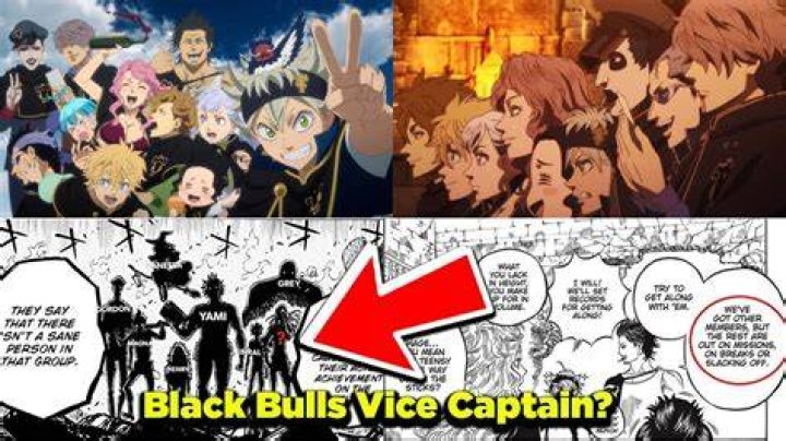 Who is the new vice-captain of Black Bulls?