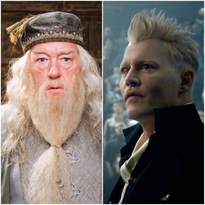 Who was Dumbledore in love with?