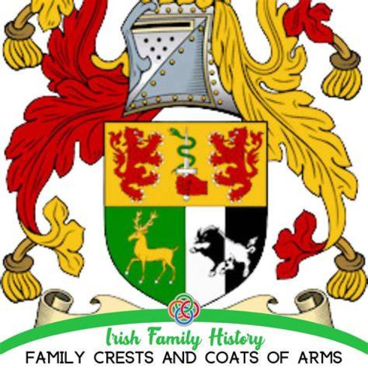 Who were Irish royalty?