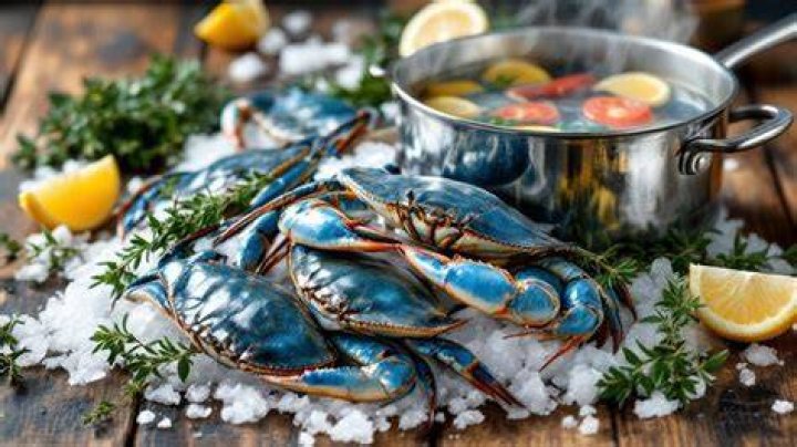 Why are crabs boiled live?