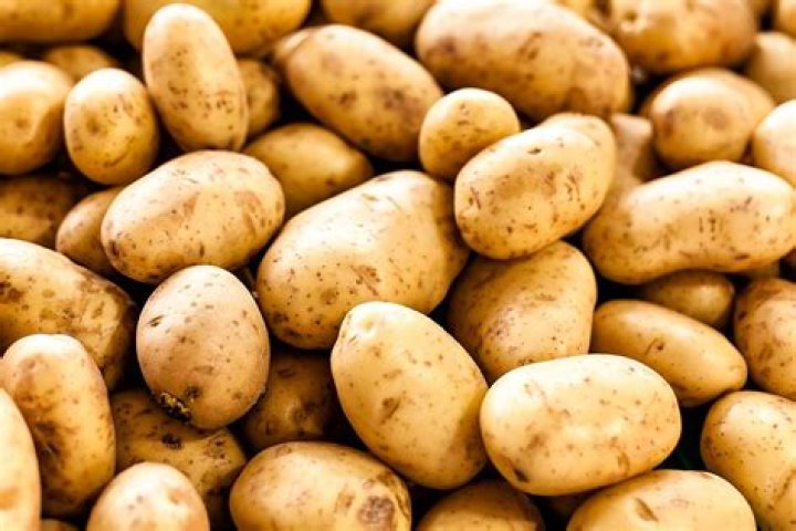 Why are frozen potatoes out of stock?
