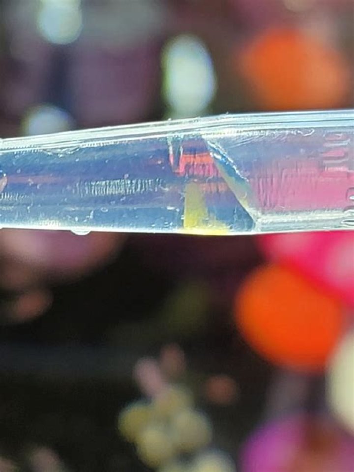Why are my Sea-Monkeys dying?