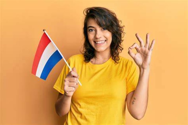 Why are the Dutch so good at English?