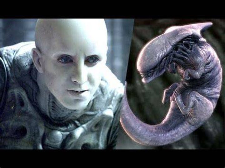 Why did the Engineers create the Xenomorphs?