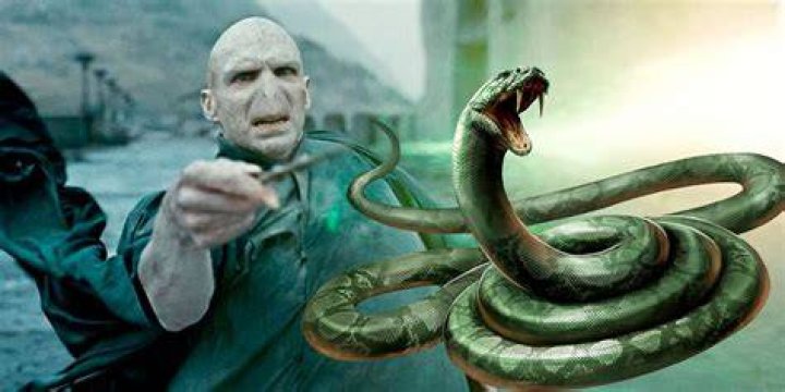 Why did Voldemort look like a snake?