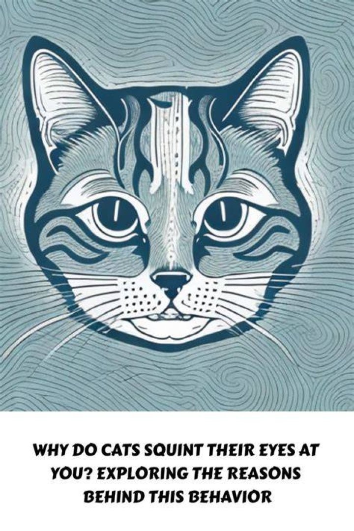 Why do cats squint their eyes at you?