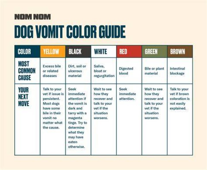 Why do dogs vomit yellow?