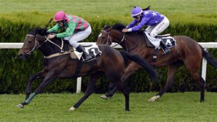 Why do horse jockeys stand up?