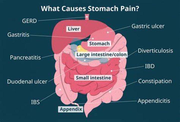 Why do I feel like there is something in my stomach?