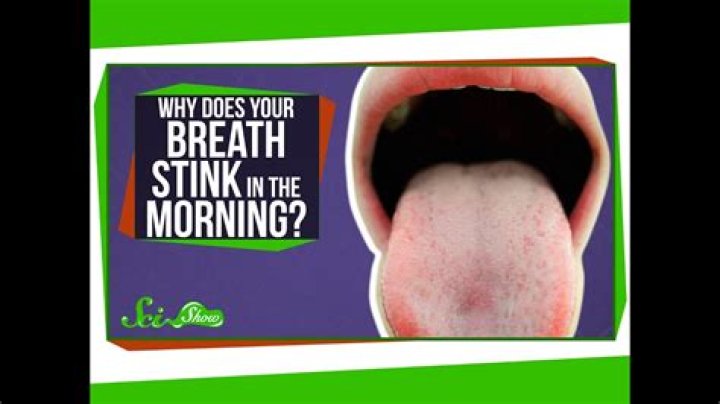 Why do I stink in the morning?
