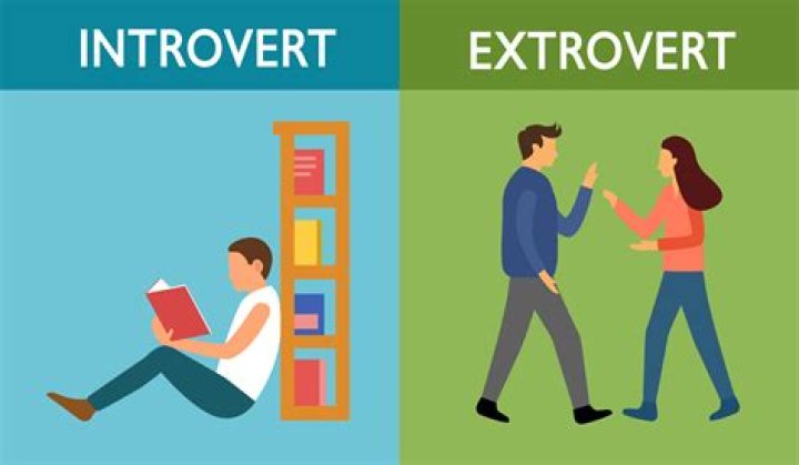 Why do introverts get overwhelmed?