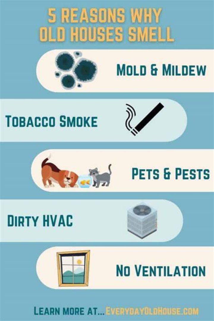 Why do old houses smell like pee?
