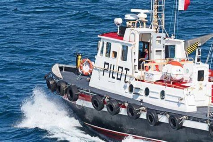 Why do pilot boats follow cruise ships?
