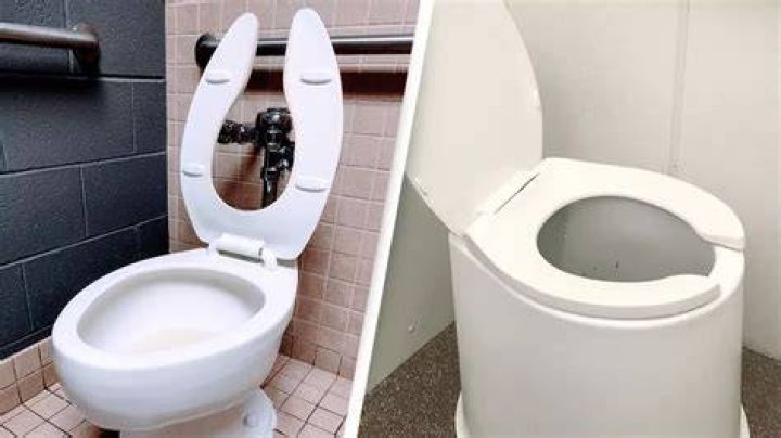 Why do public toilets have split seats?