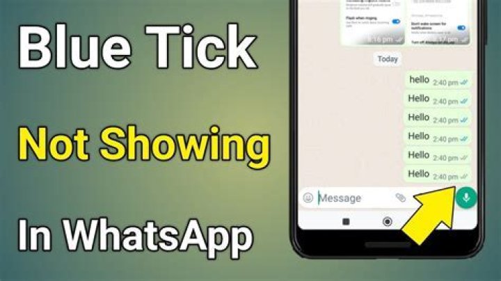 Why do some WhatsApp ticks not turn blue?
