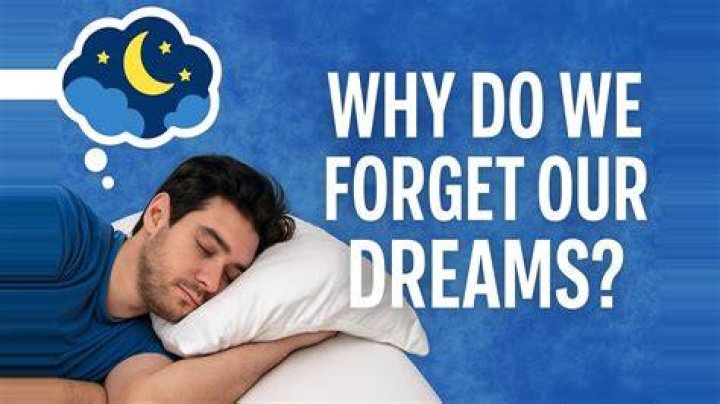 Why do we forget our dreams so quickly?