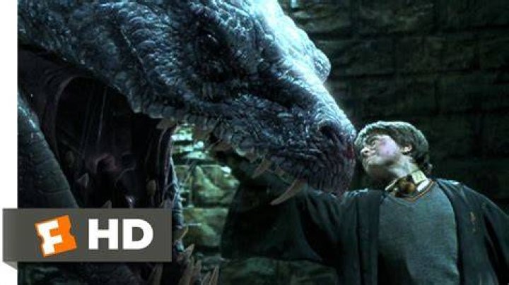 Why does Harry not get Petrified by the basilisk?