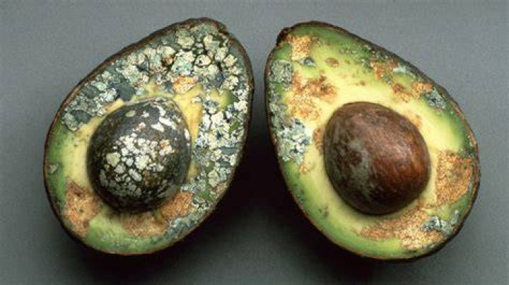 Why does my avocado oil smell weird?