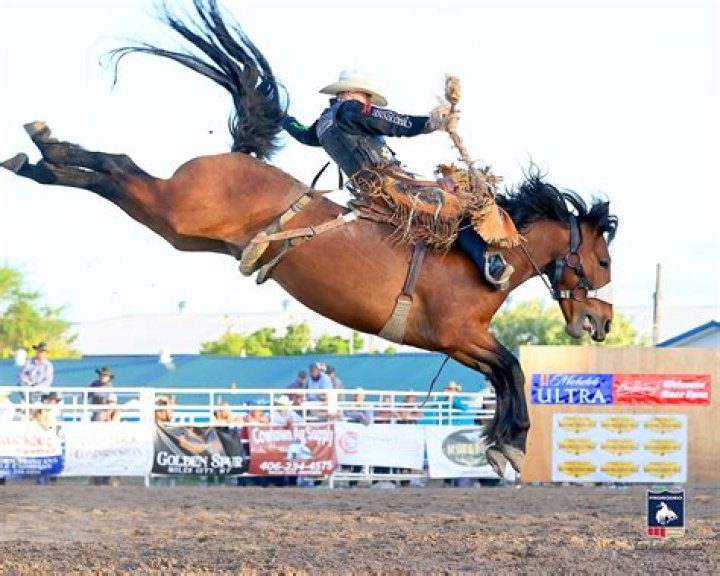 Why does my horse bronc?