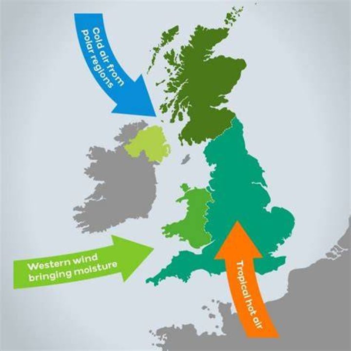 Why does the UK have so little forests?