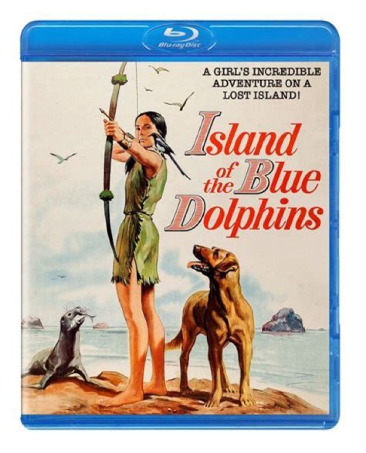 Why is it called Island of the Blue Dolphins?