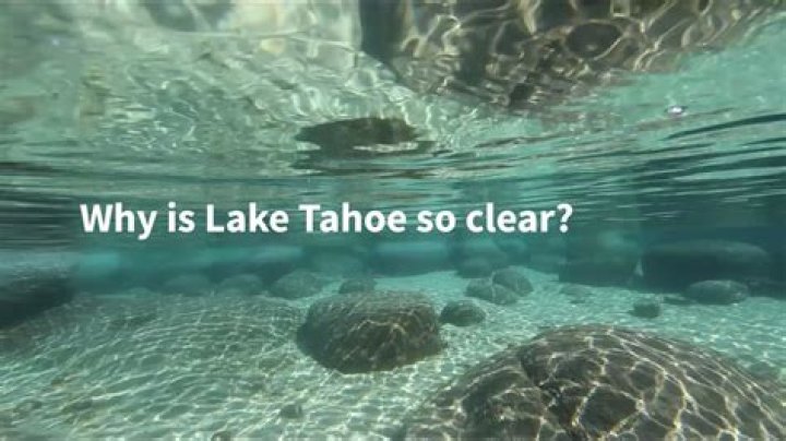 Why is Lake Tahoe water so clear?