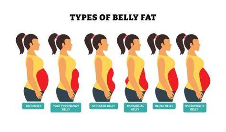 Why is my belly split in two?
