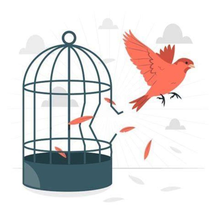 Why is my bird climbing its cage?