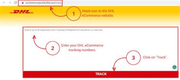 Why is my DHL eCommerce tracking not updating?