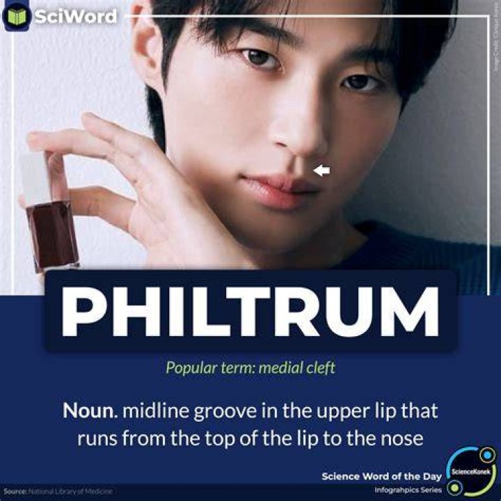 Why is philtrum important?