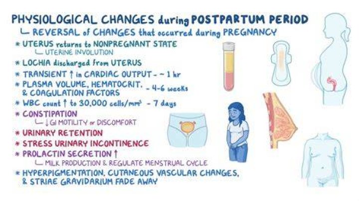 Why is postpartum so hard?