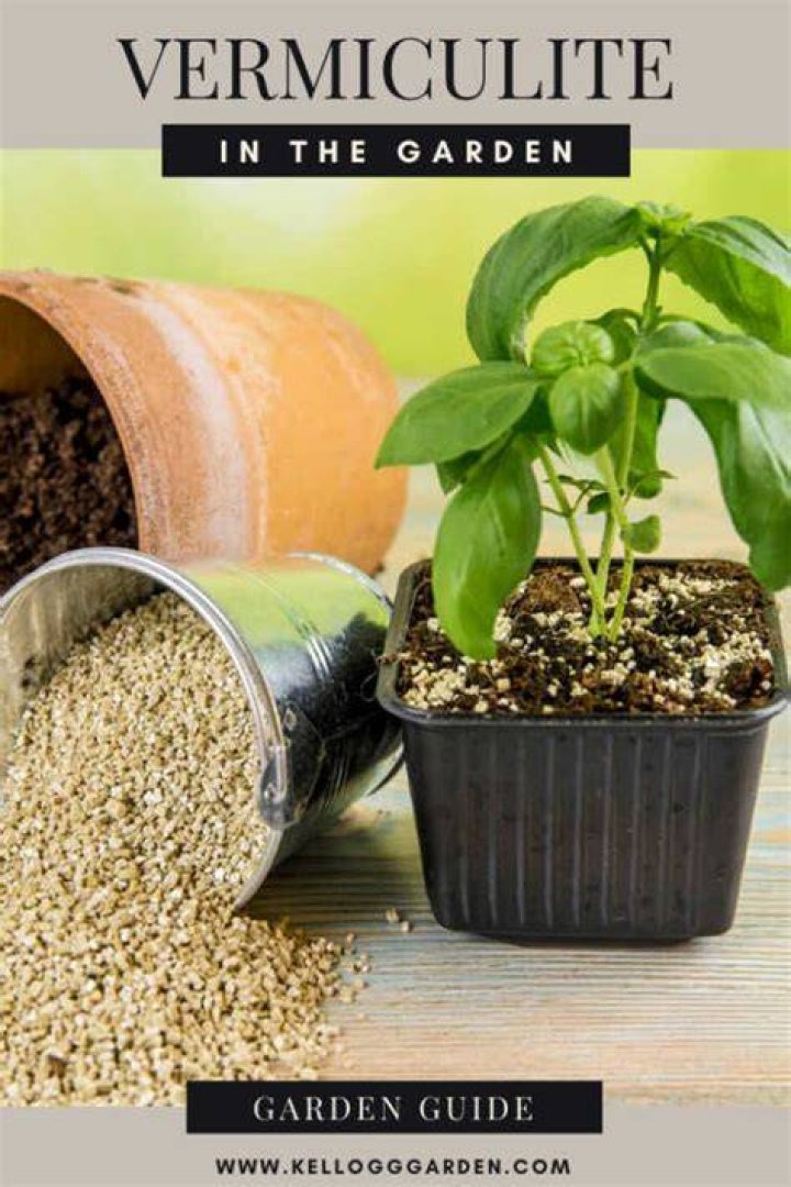 Why is vermiculite good for plants?