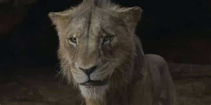 Why Jon didn't become king?