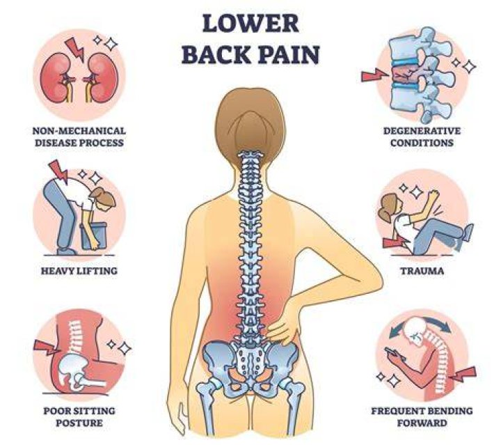 Why my back is so itchy?