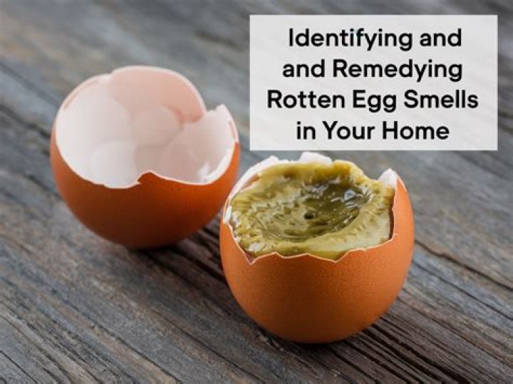 Why my house smells like rotten eggs?