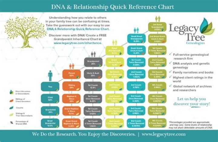 Will AncestryDNA show grandparents?