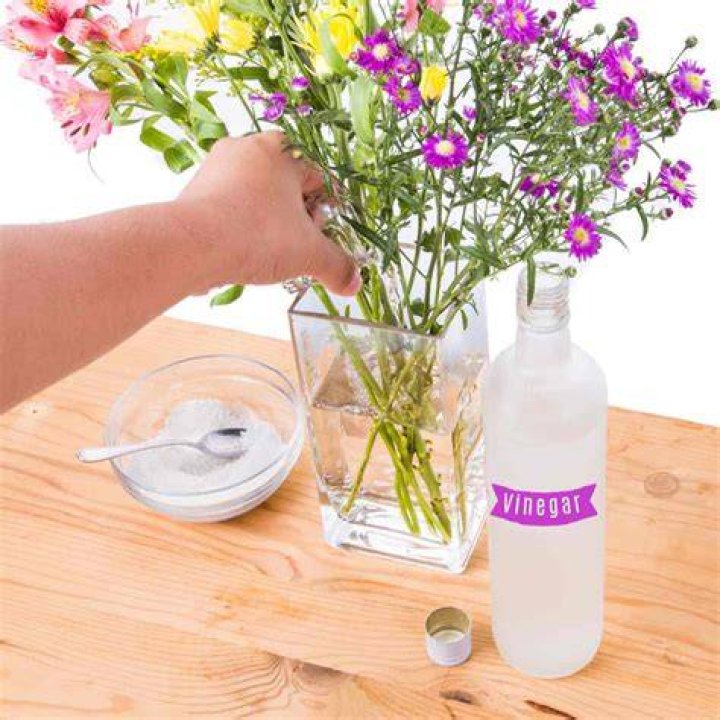 Will sugar prolong the life of cut flowers?